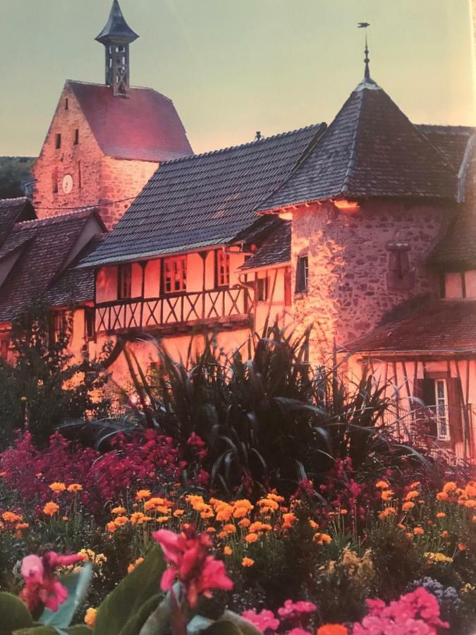 La Tour De Natacha Villa Riquewihr Esterno foto